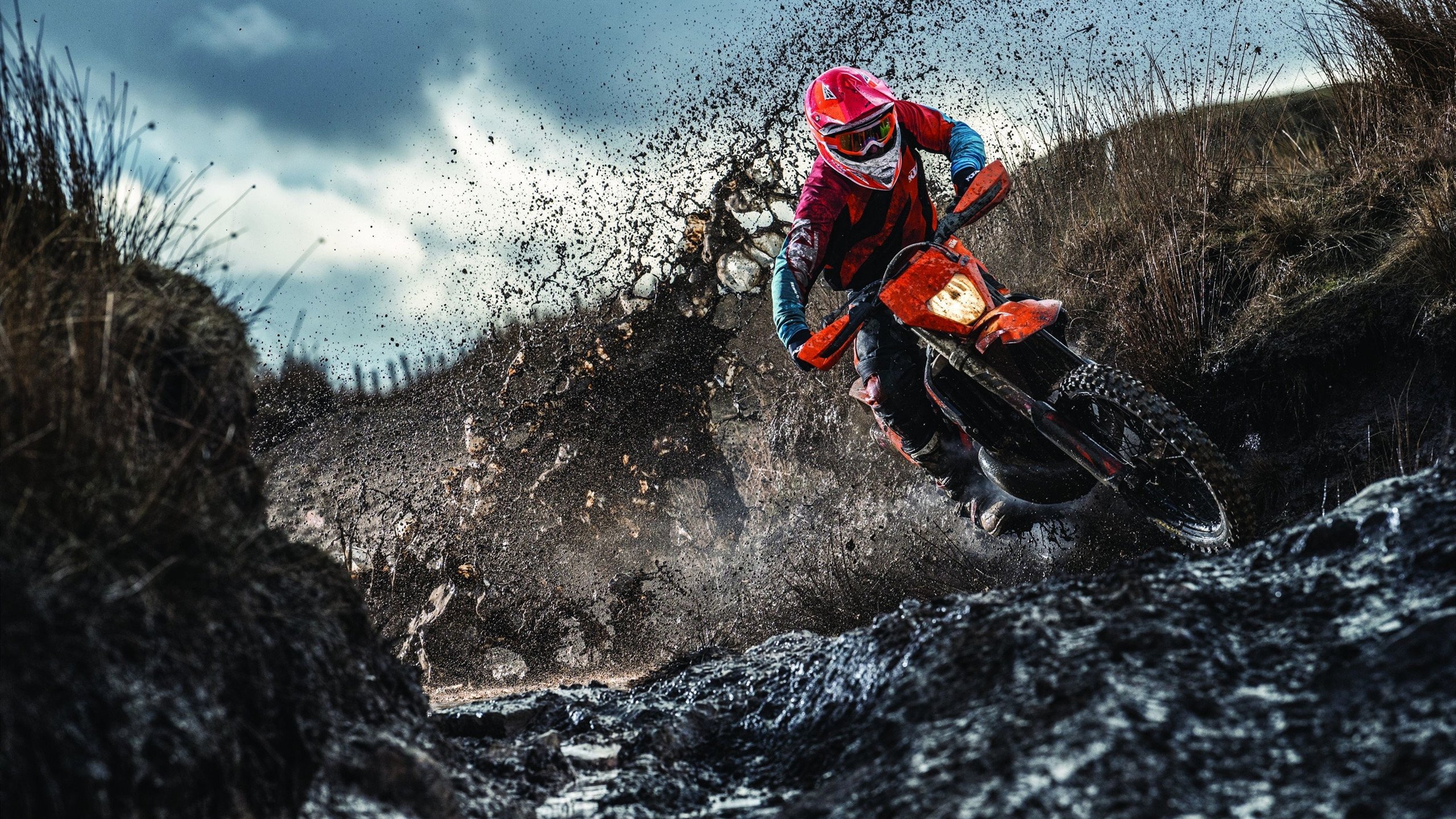 开云官网-_城市绿道：自行车与网球结合的多运动赛事_，自行车与汽车比赛